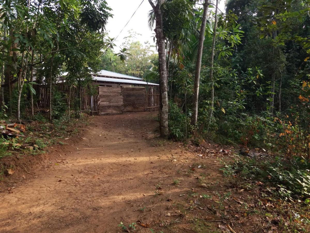 Cashew Villa Hiriketiya Dickwella Exterior photo
