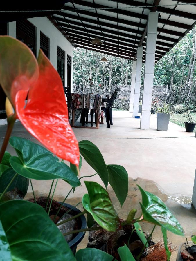 Cashew Villa Hiriketiya Dickwella Exterior photo