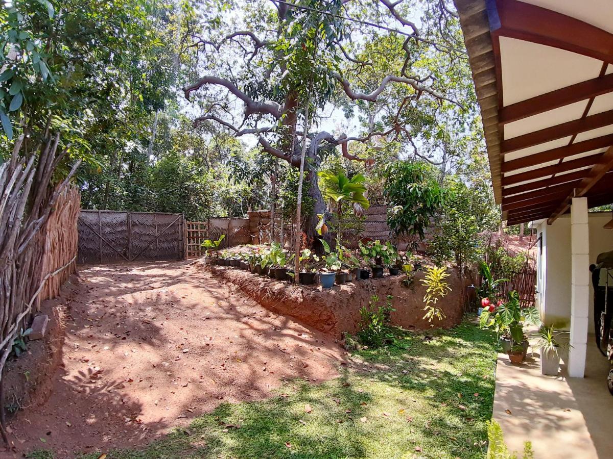 Cashew Villa Hiriketiya Dickwella Exterior photo